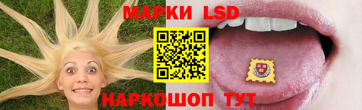 ЛСД экстази ecstasy  МЕГА как войти  Новодвинск  ЛСД экстази кислота  Вход с VPN 